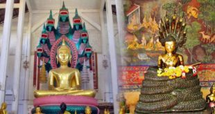 Buddha sedící pod ochranou Nágy