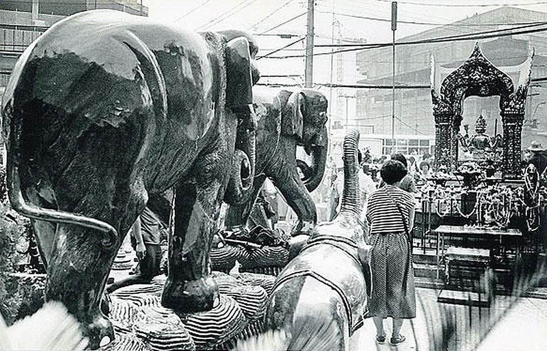Tchajwanské ženy předávají obětinu - 4 velké dřevěné slony 1989.