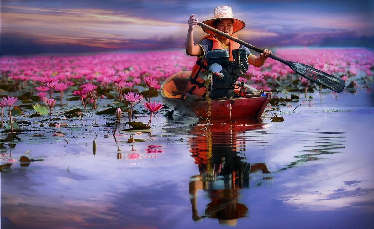 Jezero červených lotosů - Udon Thani - Thajsko