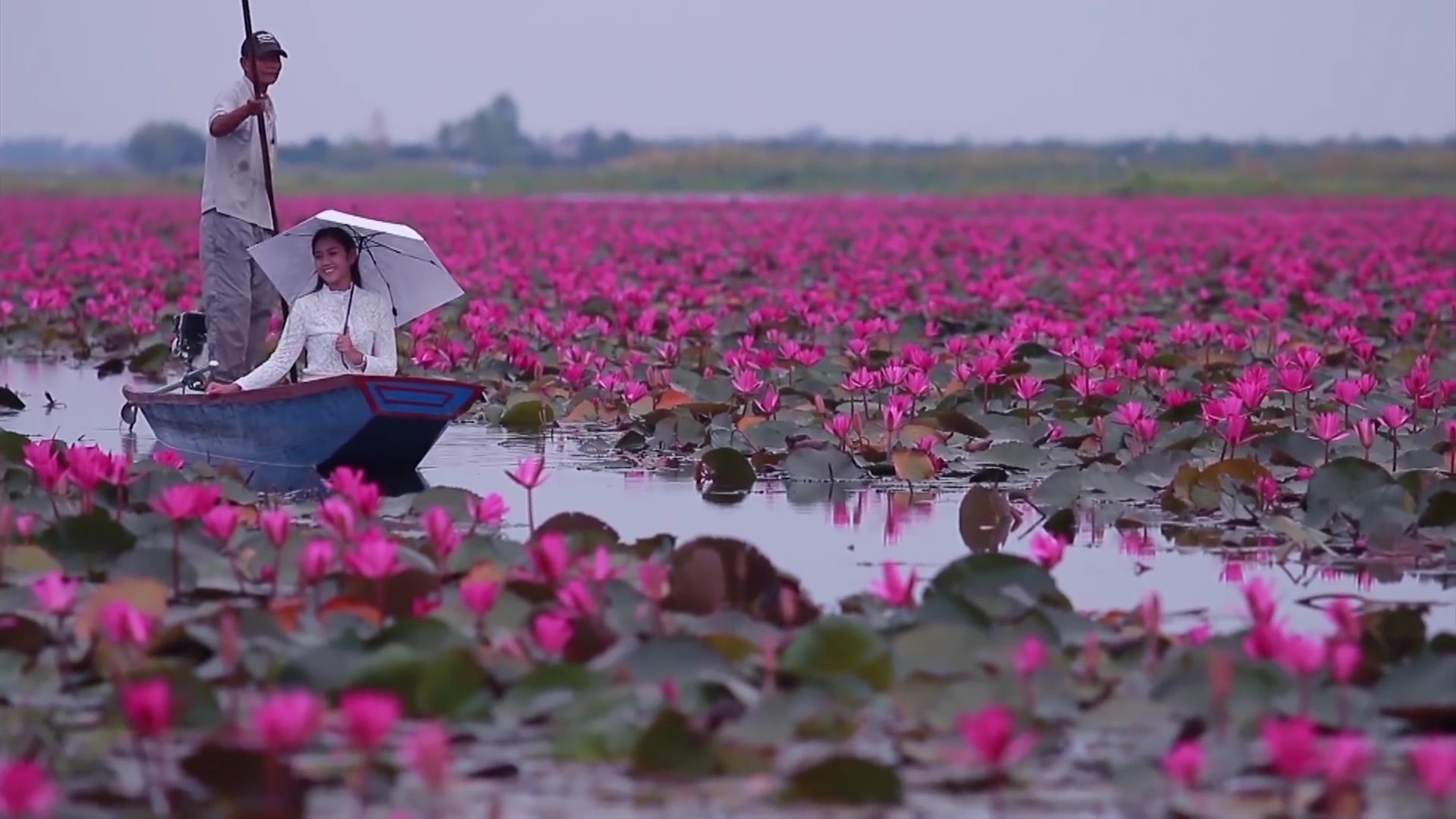 Jezero červených lotosů - Udon Thani - Thajsko