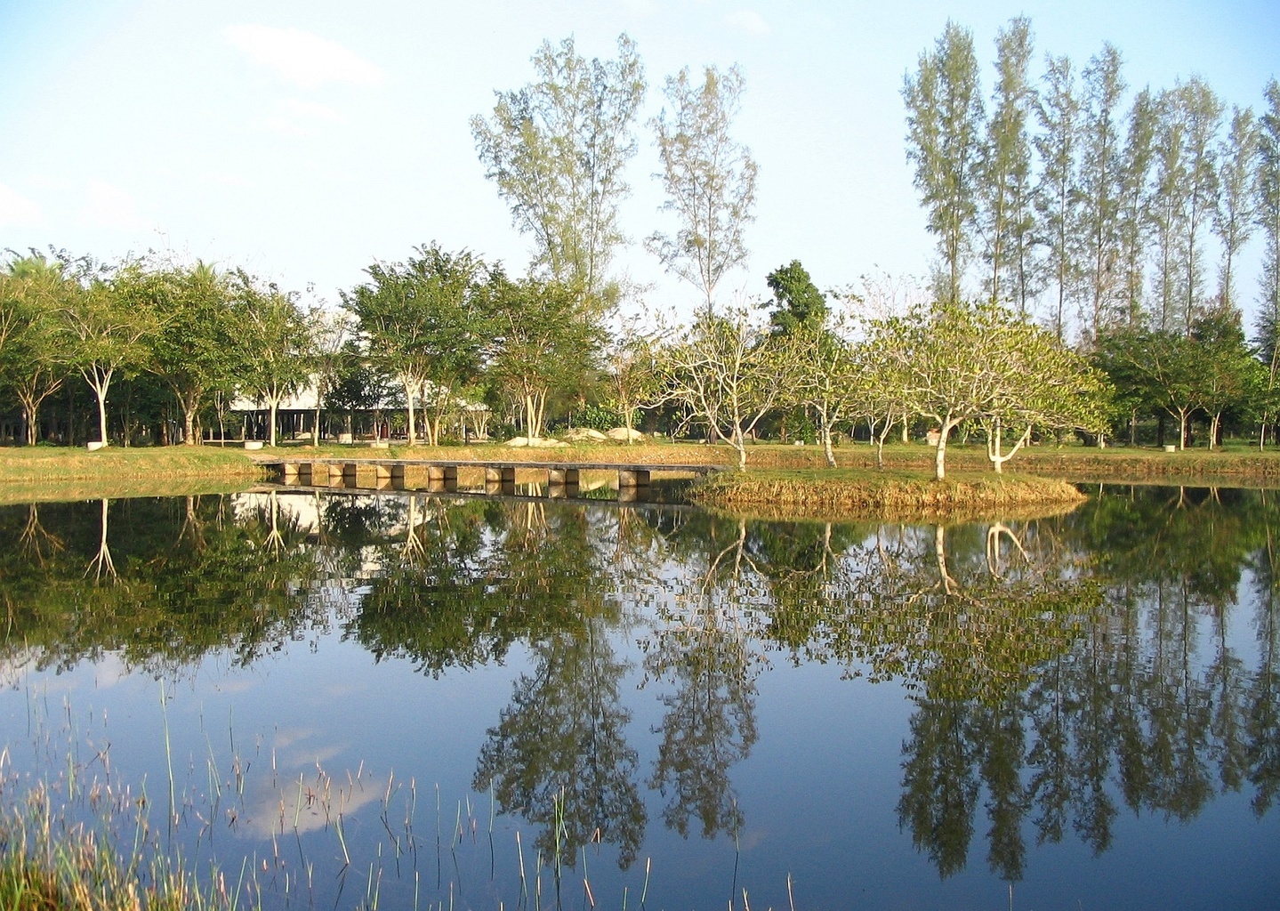 Areál meditačního centra Wat Suan Mokkh - Thajsko