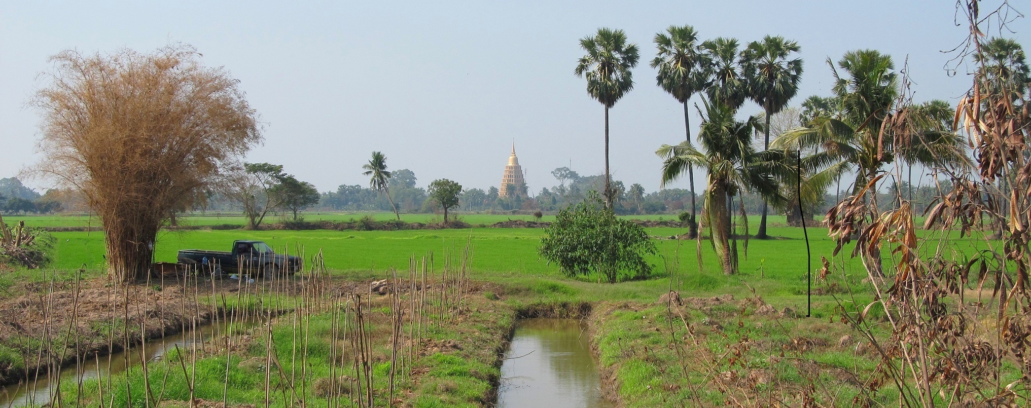 Wat Tha It v rýžovém poli - Thajsko