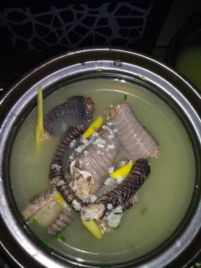 Krajta odlovená a upravená v Phnom Penh Kambodža