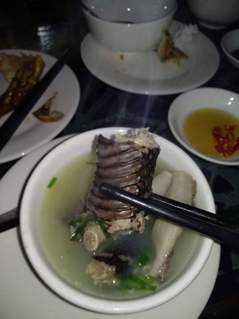 Krajta odlovená a upravená v Phnom Penh - Kambodža