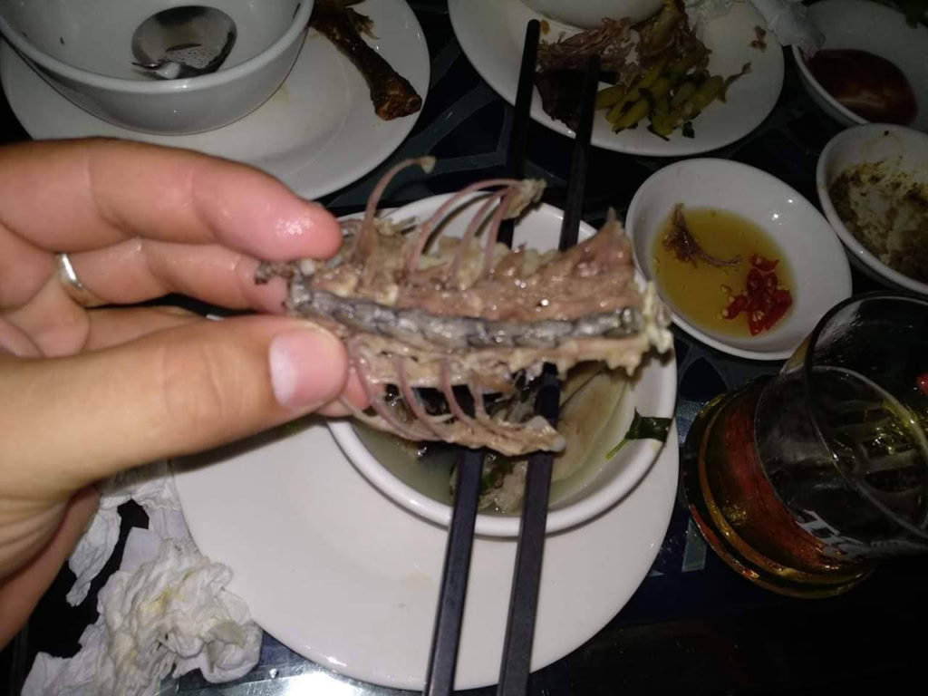 Zbytek Krajty odlovené a upravené v Phnom Penh Kambodža