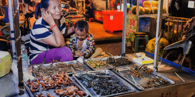 Soubor s mořskými plody na trhu v Thajsku a Kambodži, večerní atmosféra, místní kuchyně a prodejci.