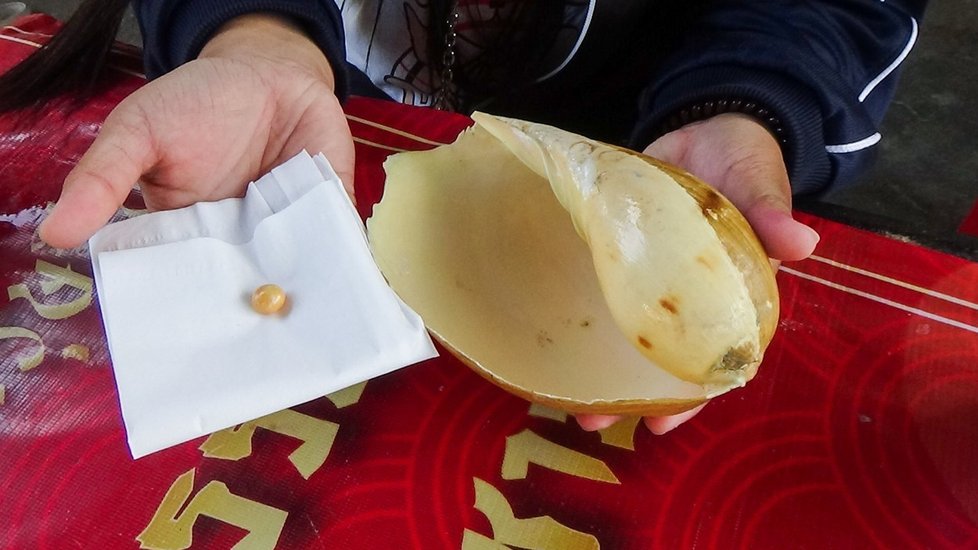 Starobylý chrám u jezera v thajsku a kambodži s zeleným vodním odrazem a okolní zelení.